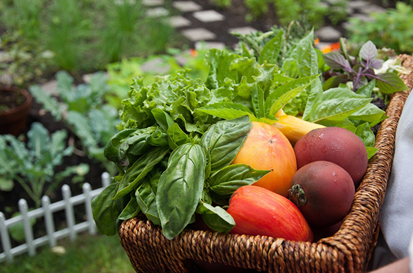 What should you know about the kitchen garden?